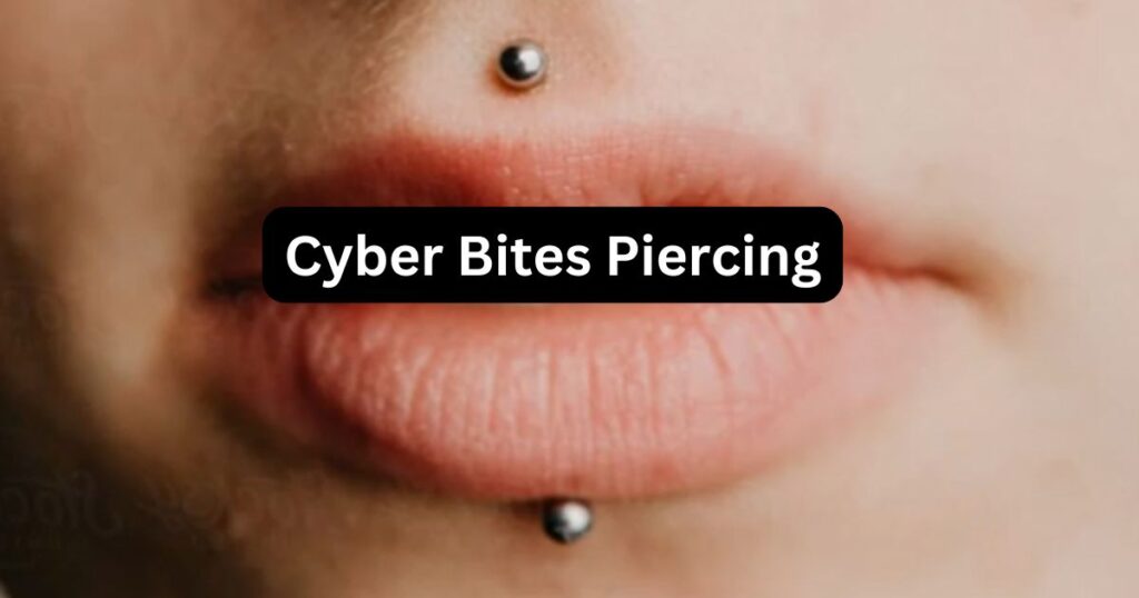 Cyber Bites Piercing What You Need to Know